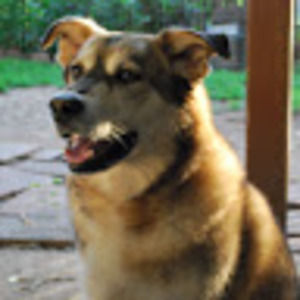 Meet your Posher, Valerie